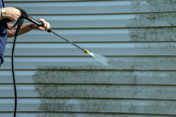 Best Exterior Home Cleaning  in Valley Springs, CA