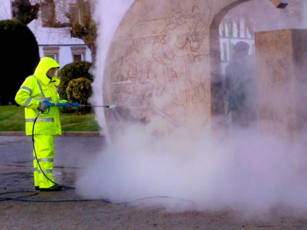 Best House Pressure Washing  in Valley Springs, CA